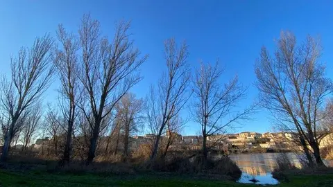 Día frío y soleado en Zamora (2)