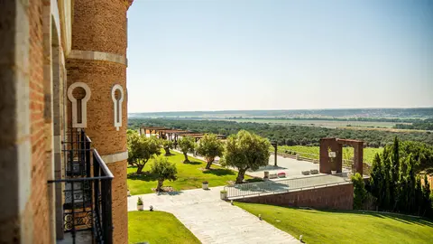 Castillo Monte la Reina