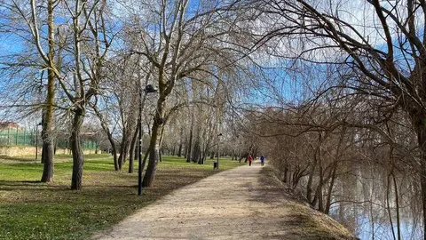 Día soleado en Zamora (2)