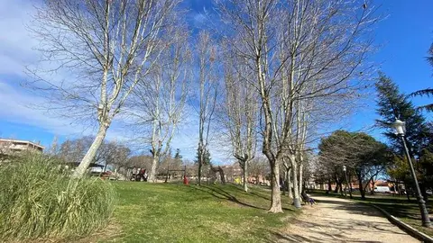 D&iacute;a soledo en Zamora