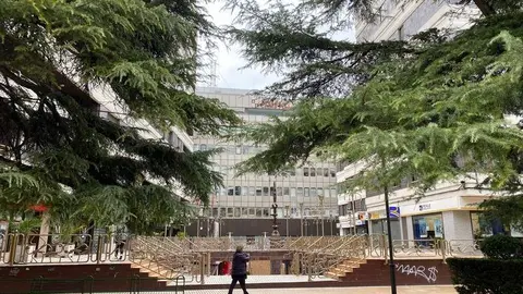 Zamora (4)