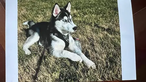 Fotografía de Sirius