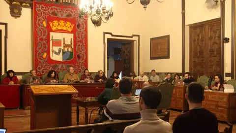 Pleno Ayuntamiento de Zamora