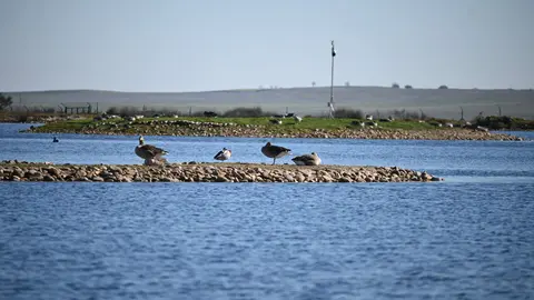 Visita a Las Lagunas de Villafáfila