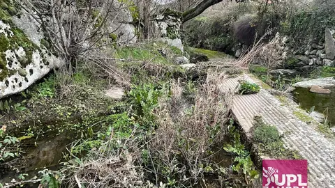 lavaderos Almeida UPL