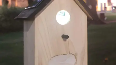 Del 27 al 28.Baychimo Teatro