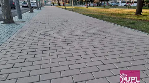 Adoquinado avenida Cardenal Cisneros