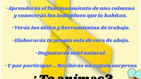 Jornadas Apícolas Infantiles Toro