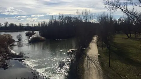 Parque de los tres árboles