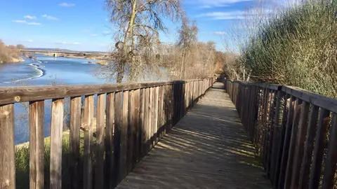 Paseo junto al Duero