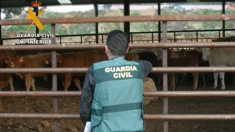 Operación Guardia Civil