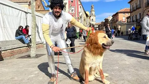 Perro disfrazado en el Carnaval de Toro