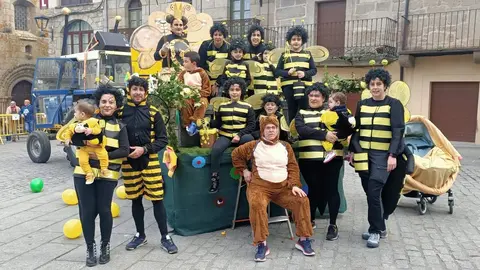 Carnaval Fermoselle (1)