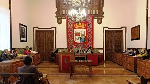 Consejo de la Mujer en el Salón de Plenos del Ayuntamiento de Zamora