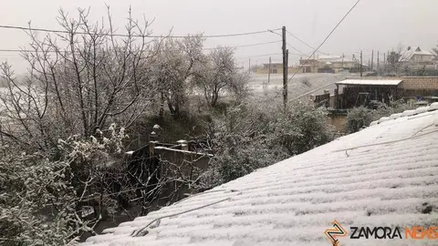 Nieve en Morales del Vino (2)