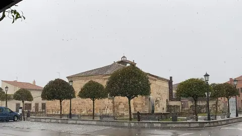 Nieve en Zamora