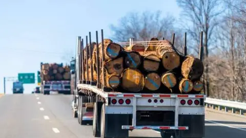 Camión saca amdera. Fotografía de archivo