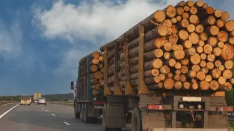 Camión saca madera. Fotografía de archivo