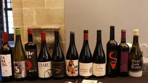 Vinos sierra de la culebra_7