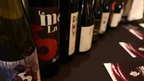Vinos sierra de la culebra_9