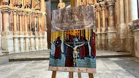 cartel - ss toro 2023