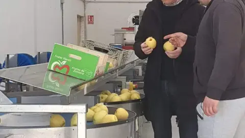 ayudas a microempresas diputación