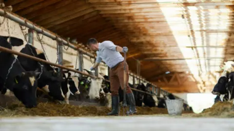 Fotografía de archivo ganadero