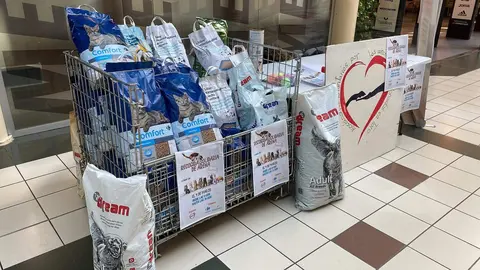 Donaciones vía Animales Abandonados en Toro-Voluntariado
