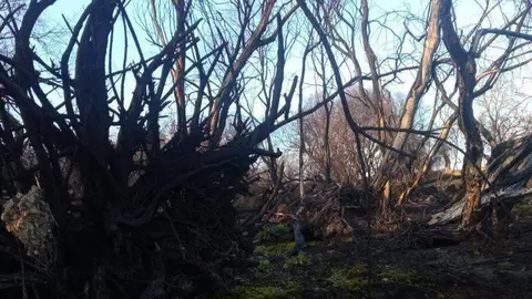 Sierra la Culebra - Tábara