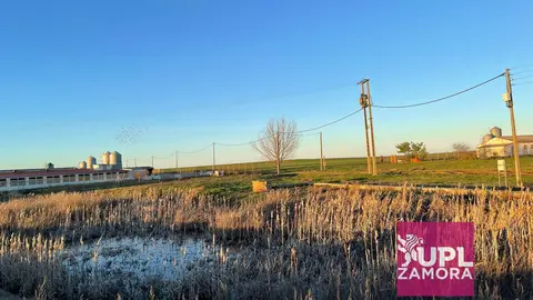 La Laguna del Sardonal de Cazurra