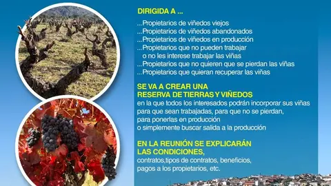 Reserva de Tierras y Viñedos