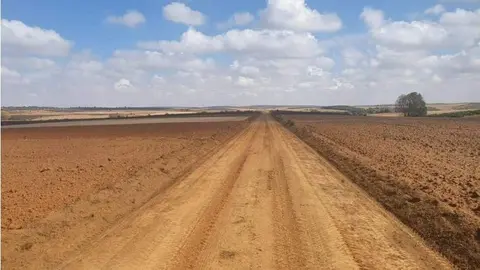 Caminos rurales