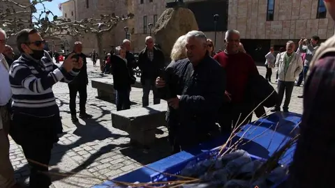 Reparto de plantas (5)