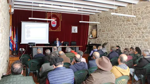 Presentación del proyecto