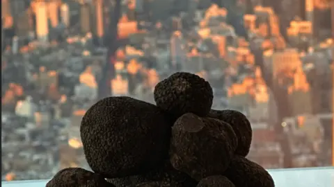 Trufa en Nueva York vía Sorianoticias.com