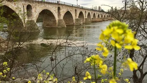 Puente de Piedra
