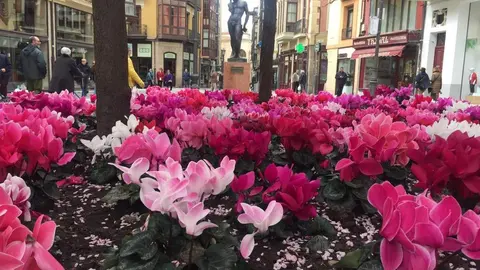 La Plaza Sagasta engalanada por primavera