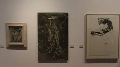 Exposici&oacute;n Jos&eacute; M. mezquita_4