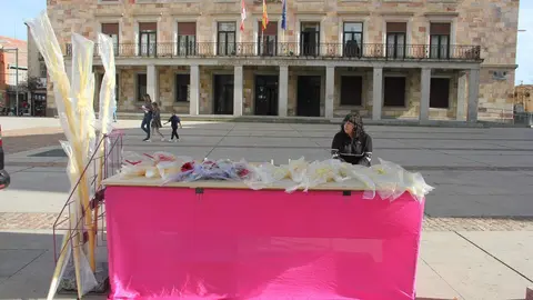 Puesto de palmas en la plaza de la Subdelegación