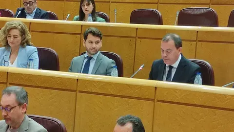 intervención Presidente diputación en Senado