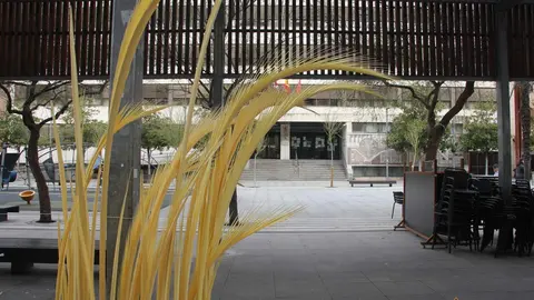 Palmas para el Domingo de Ramos (2)