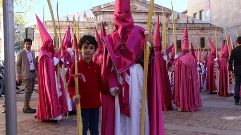 Procesión de La Borriquita 2023_21