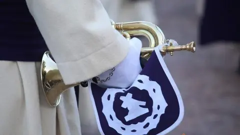 Cofradía de Jesús del Vía Crucis (19)