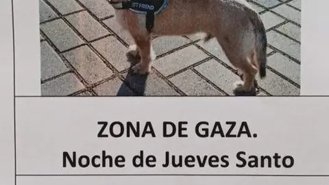Chispi