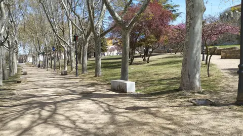 Parque de San Martín (2)