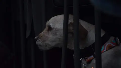 Procesión Virgen de la Soledad (11)