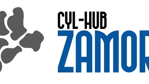 CYLHUB_ZAMORA-POSITIVO