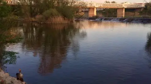 Paseo junto al Puente de Hierro