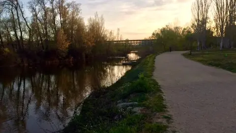 Paseo de Los Tres Árboles