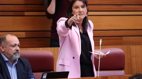 01 PSOEZAM. Ana Sánchez Pleno Cortes CyL 11-04-2023